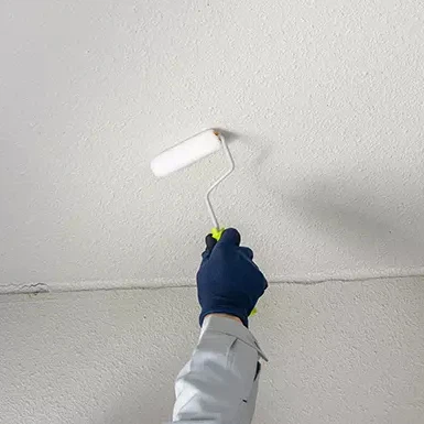 Langit -langit cat tahan air